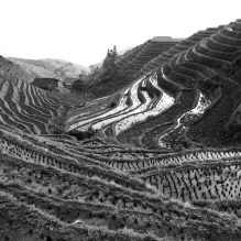 "Dragon Rice Fields" - Dazhai, China
