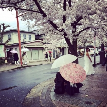 "Japaneese Umbrella" - Kyoto, Japan